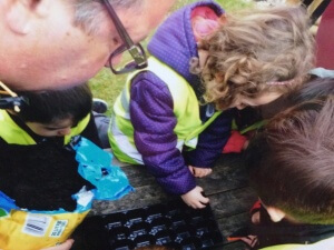 Sowing our seeds
