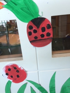Can you ‘spot’ our ladybirds?