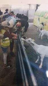 Ahhhhhh! Feeding time at the zoo!